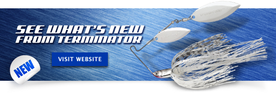 Weighty Tips for Fishing the Ultra Light Minnow and Shad