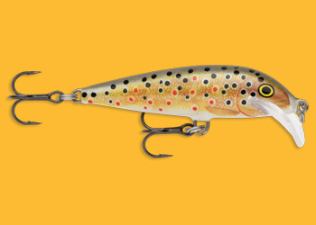 Scatter Rap CountDown Brown Trout