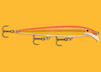 Scatter Rap Minnow Gold Fluorsecent Red