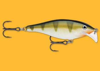 Scatter Rap Shad Yellow Perch