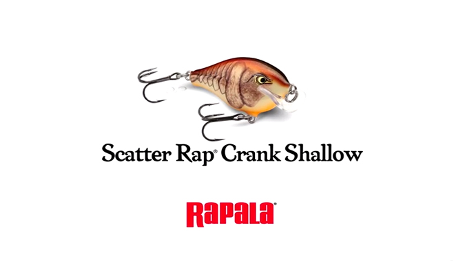 Scatter Rap Series Video